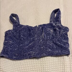 Women's Blue  purple Velvet Top